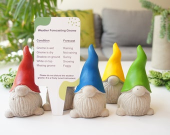 Funny weather forecasting gnome, humorous gardener gift, cheeky garden decor
