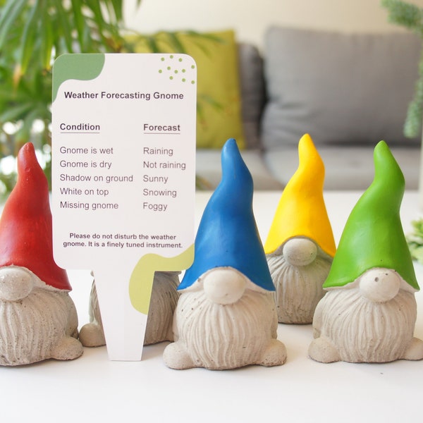 Funny weather forecasting gnome, humorous gardener gift, cheeky garden decor