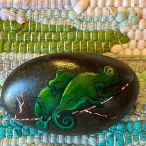 Súper Oscar  Frog art, Cartoon lizard, Hand painted rocks