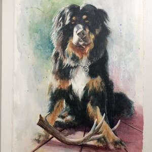custom watercolour Pet Portrait,
