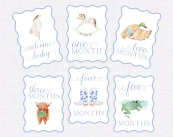 Baby Milestone Cards, First Year Cards, Monthly Milestone, Boy Month Cards