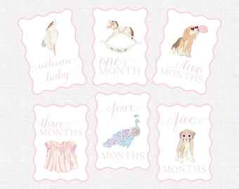 Baby Milestone Cards, First Year Cards, Monthly Milestone, Girl Month Cards
