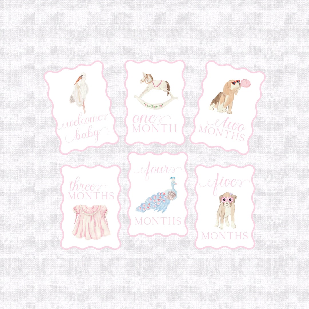 Baby Milestone Cards, First Year Cards, Monthly Milestone, Girl Month ...