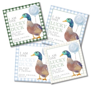 Lucky Duck Birthday Thank You Card, Good Bag Tag Set, Enclosure Card Set