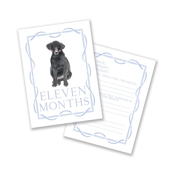 Printable Baby Milestone Cards, First Year Cards, Monthly Milestone, Black Lab Boy Month Cards, Digital Download