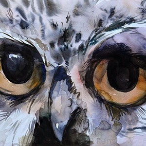Owl painting - Original watercolor artwork. Watercolour woodland animal wall decor