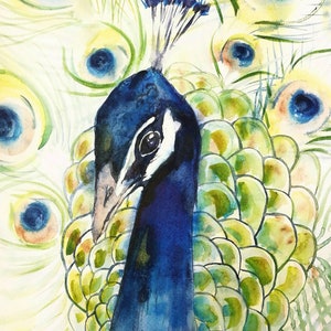 Peacock Painting - Watercolor Original Art- Bird Water Color Living Room Decor