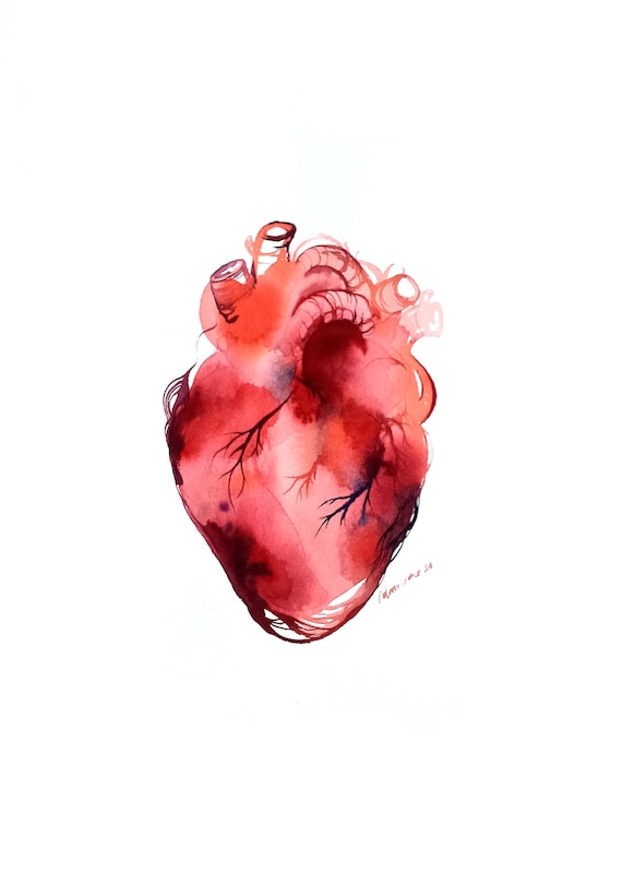 Watercolor Human Heart NEW Paint By Numbers - Numeral Paint Kit