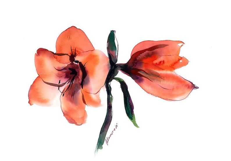 May include: Watercolor painting of two orange amaryllis flowers with green stems and leaves on a white background.