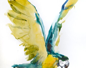 Yellow parrot. Original watercolor painting of a bird, spread wings. Expressive abstract nature wildlife picture. Wall art for home.