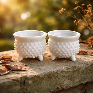 May include: Two small, white, hobnail-textured planters with three short legs each. The planters have a round opening and a textured band around the top. They sit on a weathered stone surface with a blurred green and brown background.