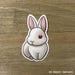 Peeking cute vinyl bunny sticker rabbit car decal / laptop | Etsy