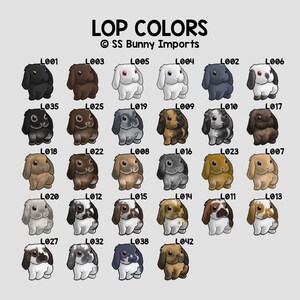 Chinchilla lop rabbit sticker; grey lop bunny sticker, car lop rabbit decor, window lop bunny decoration, water bottle lop rabbit sticker image 2