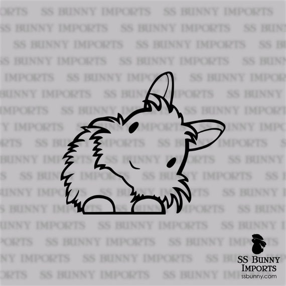 Year Of The Rabbit! Chinese Astrology Vinyl Decal – Choose Size & Color (Oracal, Waterproof)