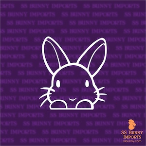 Peeking Rabbit Decal | Cute Bunny Car Sticker | Peek-a-Boo Vinyl Decal