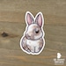 Lop Bunny Sticker Peeking Cute Rabbit Laptop Decal / Car Decal / Phone ...