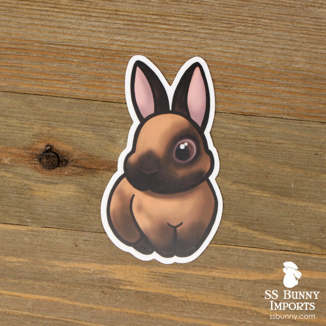 Cinnamon Bunny Sticker; Vinyl Rabbit Sticker, Rabbit Car Sticker, Mini ...