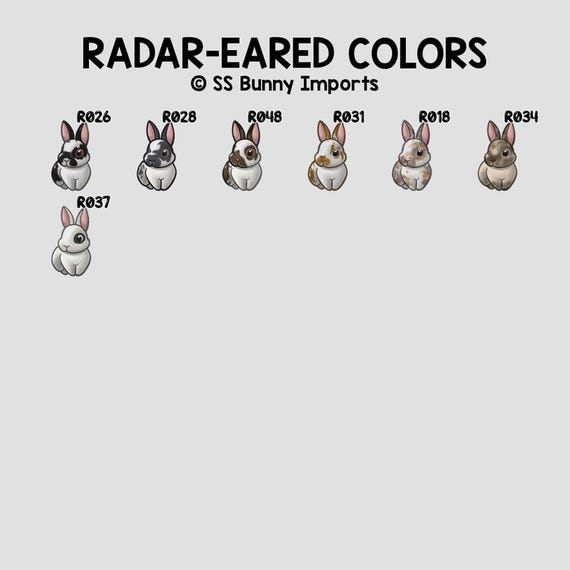 Chocolate English Spot Rabbit Sticker; Cute Brown Bunny Printed