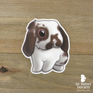 Broken chocolate lop rabbit sticker; cute bunny decal, rabbit laptop sticker, bunny water bottle sticker, gift for lop rabbit lovers