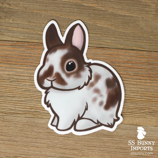 Broken agouti Netherland Dwarf sticker, waterproof vinyl bunny sticker, brown rabbit car sticker, laptop sticker, water bottle sticker