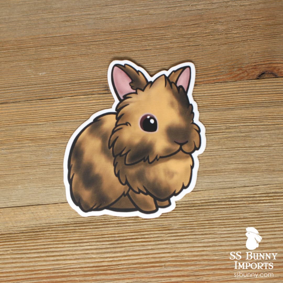 Black Harlequin Lionhead Rabbit Sticker; Cute Orange Black Bunny ...