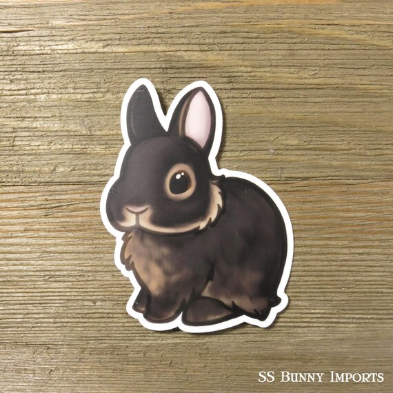 black tan netherland dwarf bunny sticker printed chibi rabbit etsy