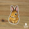 Lop Bunny Sticker Peeking Cute Rabbit Laptop Decal / Car Decal / Phone ...