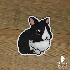 5x Custom Lionhead Rabbit Stickers - Personalized Rabbit Gift, Custom ...