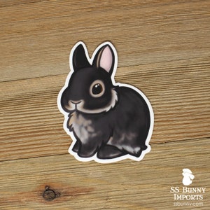 Black otter dwarf rabbit sticker; cute dwarf bunny vinyl sticker, waterproof, weatherproof