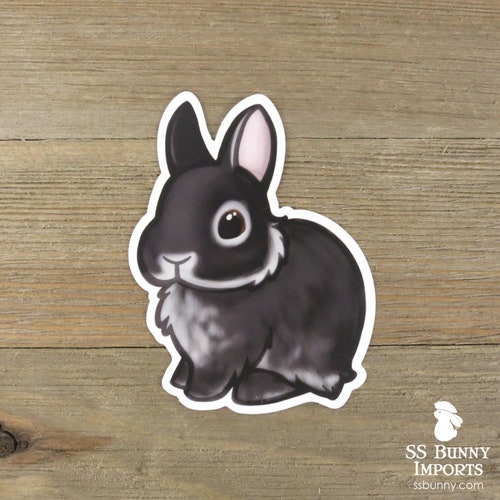 Black Otter Dwarf Rabbit Sticker Cute Dwarf Bunny Vinyl - Etsy