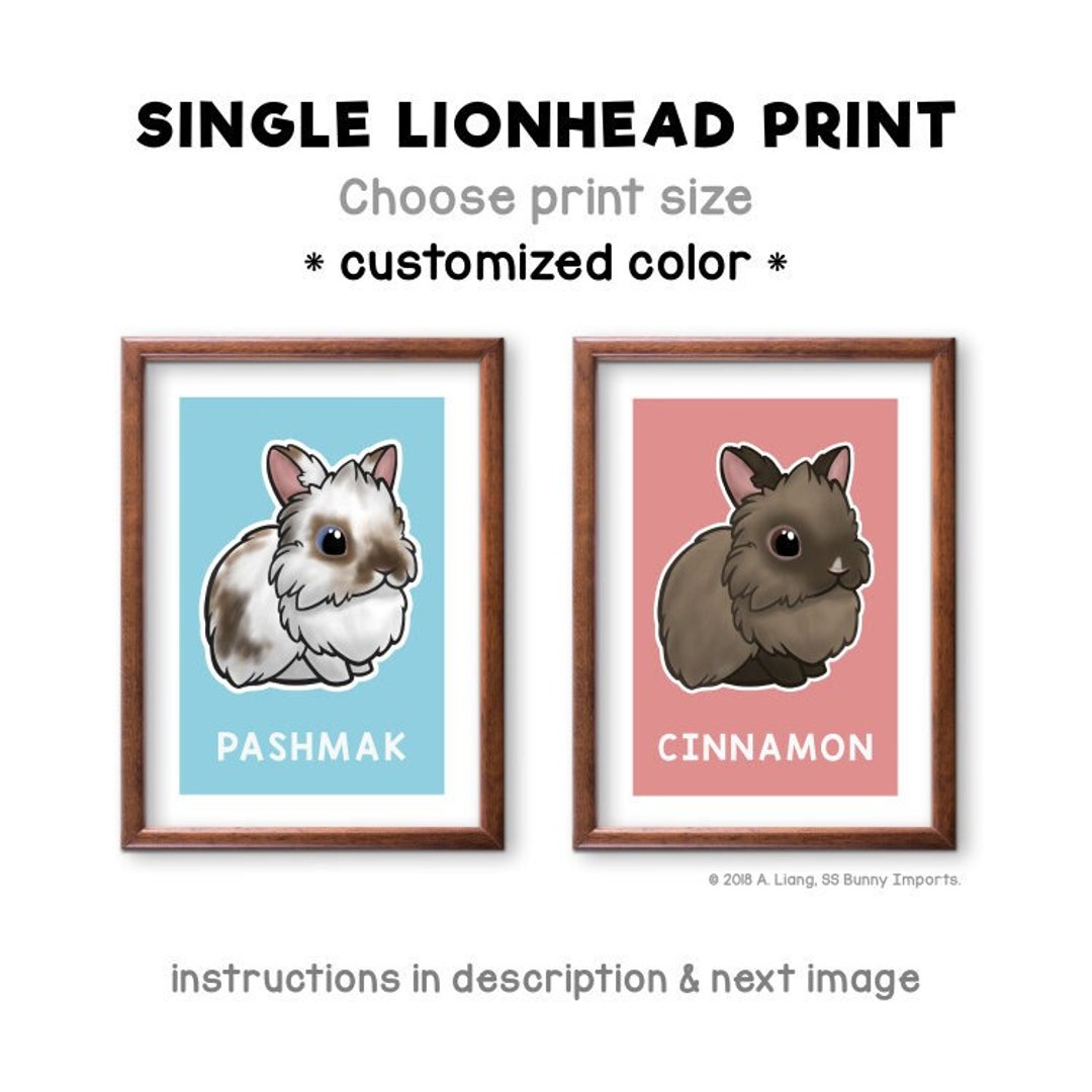 Custom Lionhead Rabbit Art Print Chibi Lionhead Bunny Picture, Custom ...