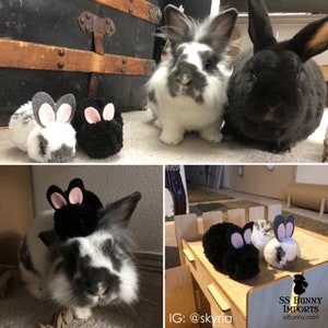 May include: Two black and white rabbits with black felt bunny ears on their heads. The rabbits are sitting on a brown surface. The text "SS BUNNY IMPORTS" is visible in the bottom right corner of the image.