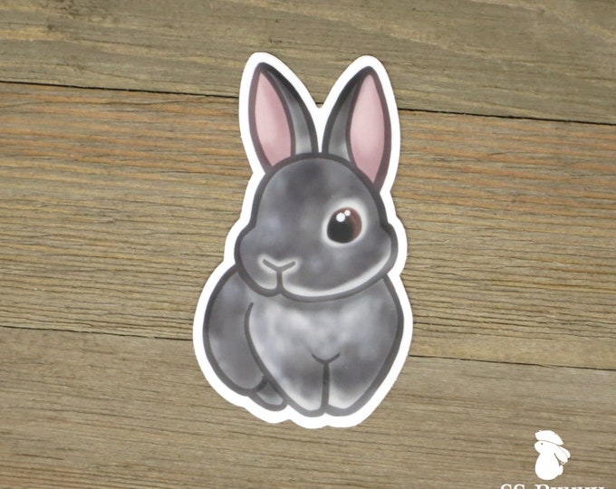 Harlequin Dutch Bunny Sticker Cute Printed Vinyl Rabbit - Etsy