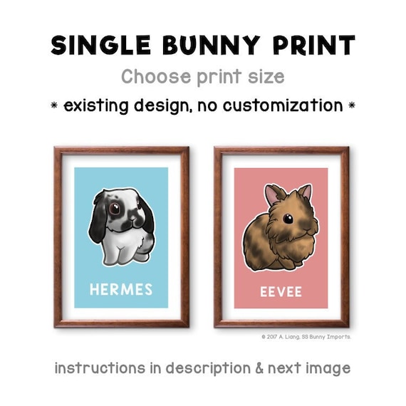 Single Bunny Print - Existing Rabbit Breed and Color
