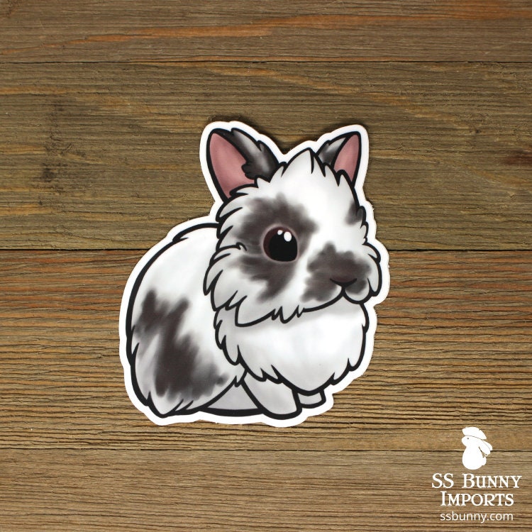 5x Custom Lionhead Rabbit Stickers - Personalized Rabbit