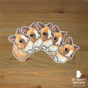 5x Custom Lionhead Rabbit Stickers - Personalized Rabbit Gift, Custom ...
