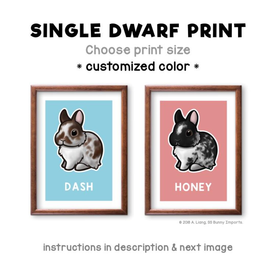 Custom Dwarf Rabbit Art Print - Chibi Dwarf Bunny Picture, Custom ...