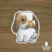 Rabbit Sticker Peeking Bunny Car Decal, Rabbit Laptop Decal, Bunny ...