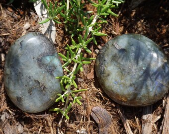 May include: Two polished labradorite stones with iridescent blue and green flashes. The stones are oval and round, resting on a bed of brown mulch with green sprigs of rosemary.