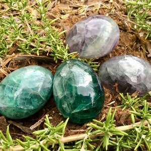 May include: Four polished fluorite stones in shades of green and purple, arranged on a bed of brown mulch and surrounded by green sprigs. The stones have a smooth, egg-like shape and a translucent quality.