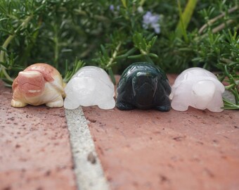 Turtle Carvings