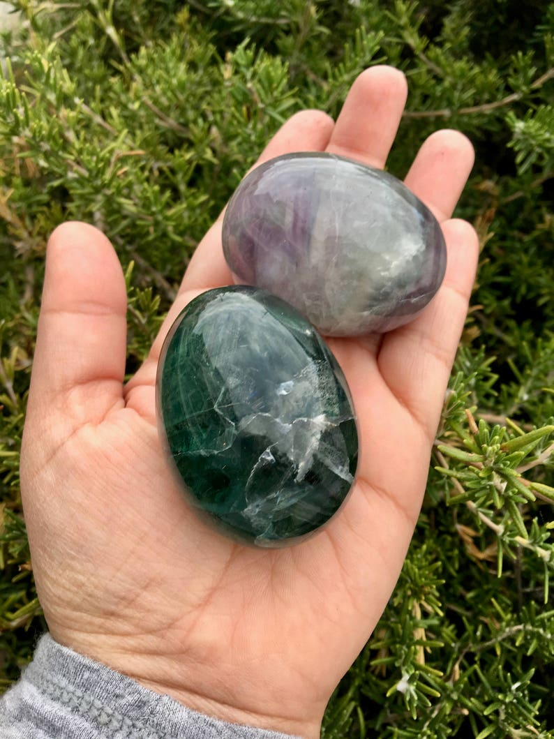 May include: Two polished fluorite stones in hand. One is a deep green color, the other is a mix of purple and gray. The stones have a smooth, rounded shape and a glossy finish. The background is blurred green foliage.