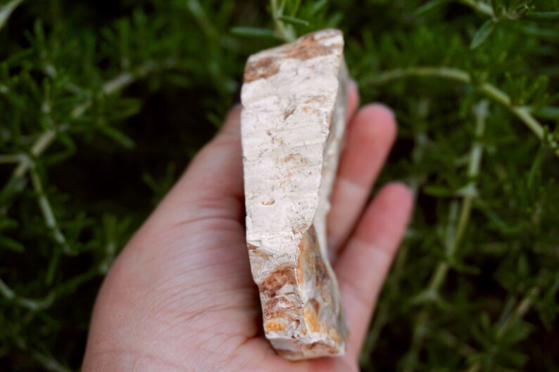 May include: A rough-edged, rectangular stone with a light beige and brown color palette. The stone has a layered texture and is held in a hand against a backdrop of green foliage. The stone's surface appears to have natural variations.