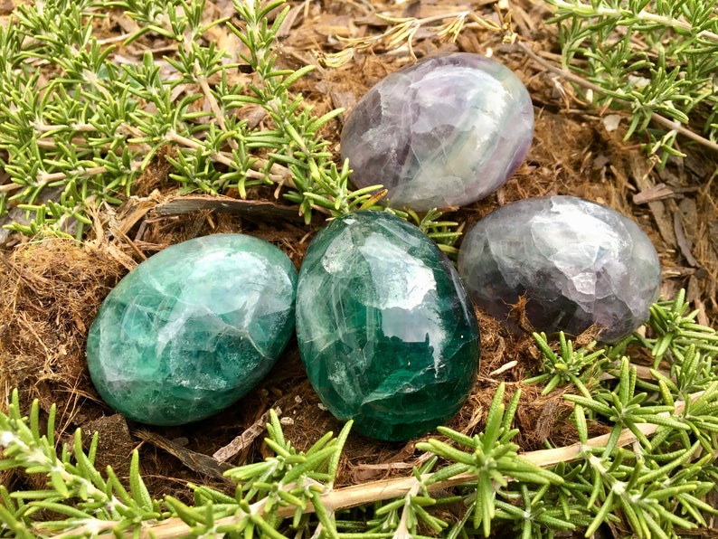 May include: Four polished fluorite stones in shades of green and purple, arranged on a bed of brown mulch and surrounded by green sprigs. The stones have a smooth, egg-like shape and a translucent quality.