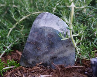 May include: A polished, triangular-shaped labradorite stone with a mix of gray, blue, and green hues. The stone is set among green plants and brown mulch, creating a natural, earthy aesthetic.