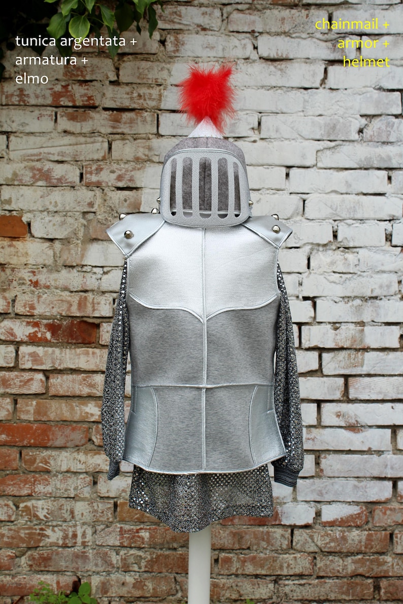 Puede incluir: Armadura de cota de malla plateada con un casco plateado con una pluma roja en la parte superior. La armadura est&aacute; en un maniqu&iacute; contra una pared de ladrillo.
