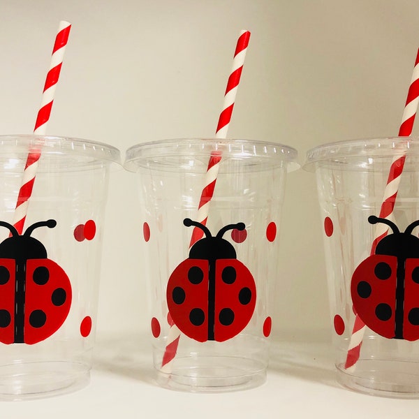 Lady Bug Party Favor - Etsy
