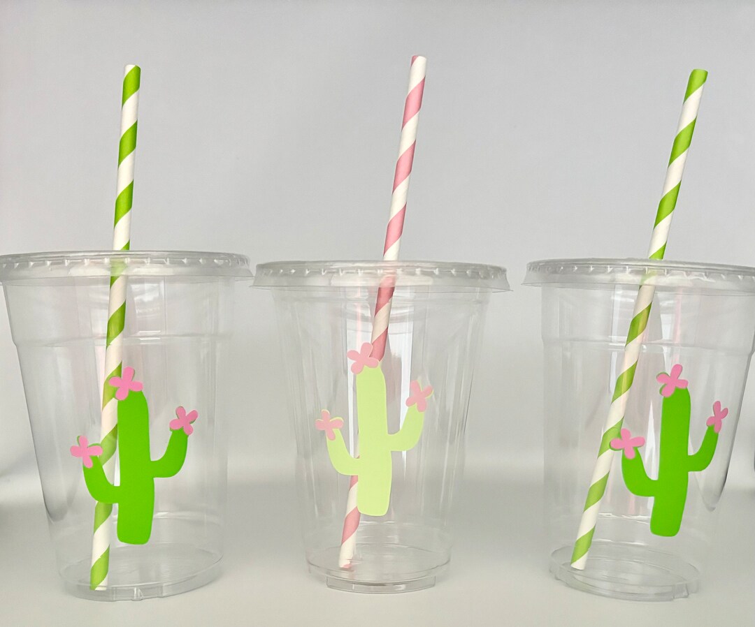 Cactus Baby Shower, Cactus Party, Cactus Birthday Party, Baby Shower
