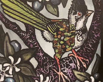ORIGINAL LINOPRINT LINOCUT, Hand coloured lino print hand painted Australian wildlife. rainforest birds 'Whipbird.'