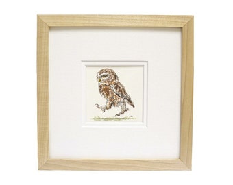 Little Owl Original Watercolour Illustration 'Little Owl'